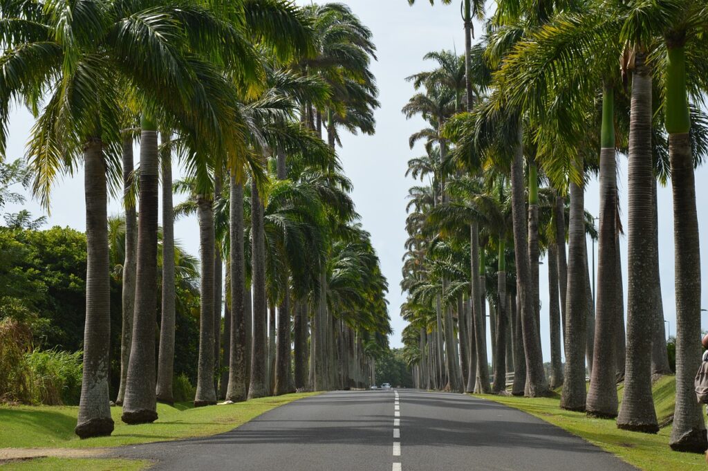 Allee Dumanoir 1024x681